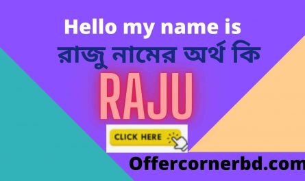 Raju Name Meaning in Bangla রাজু নামের অর্থ কি Raju namer ortho ki