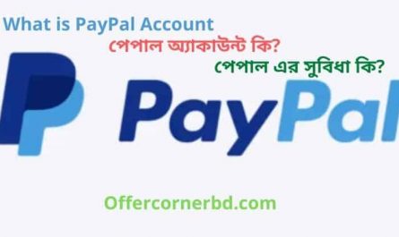 What is PayPal Account । পেপাল অ্যাকাউন্ট কি পেপাল এর সুবিধা কি